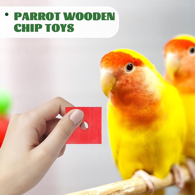 Parrot Toys 100 Pcs Wooden Blocks Bird Chewing Trim Beak Foot Craft Cage Part Mini Wood Chip Charms DIY Playing Chewing Shredding Mixed Large Bird Toys
