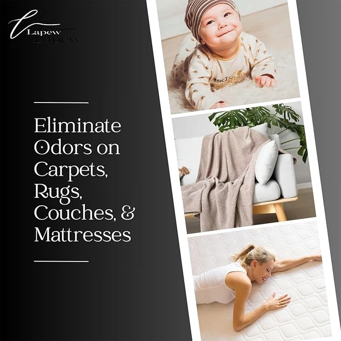 Blissful Day Carpet Freshener Powder: Powerful Odor Eliminator for Home, Upholstery Deodorizer, Carpet Deodorizer, Pet Urine, Cat Litter Box - Blissful Day Fragrance.
