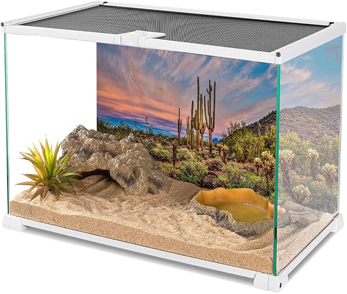 AWERT 72x16 inches Terrarium Background Blue Sky Cloud Huge Cactus Oasis Gobi Reptile Habitat Background Vinyl