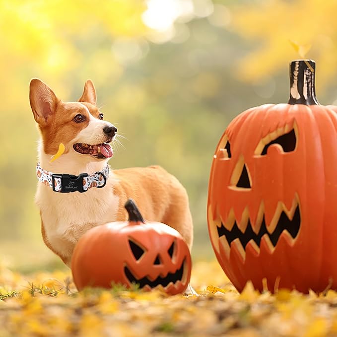 Fall Dog Collar, Cute Orange Pumpkin Pattern Puppy Collar, Soft Comfort Adjustable Holiday Thanksgiving Dog Collars for Small Medium Large Boy&Girl Dogs XL