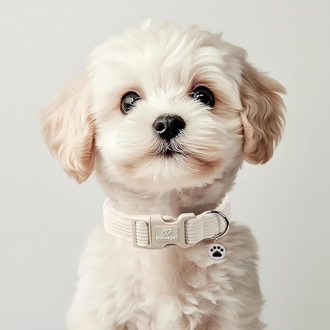 Cute Corduroy Dog Collar - White Adjustable Dog Collars for Large Dogs 50-80lbs, Fade-Proof with Secure Snap & Little Charm, Christmas Birthday Gift, L