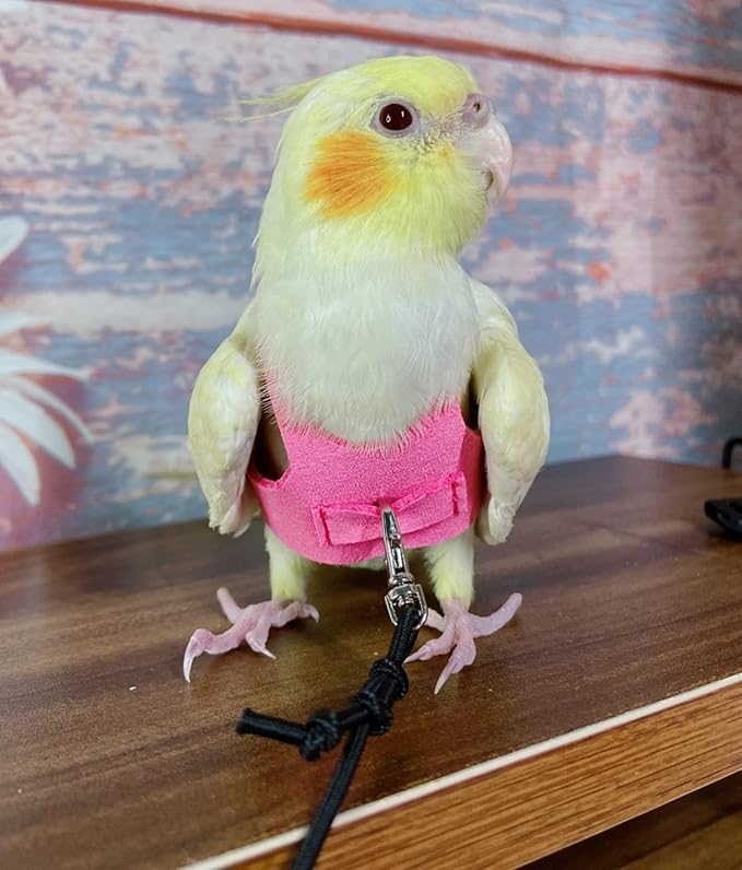 Bird Flight Harness Vest, Parrot Flight Suit with Leash for Parakeets Cockatiels Conures Budgies, Bird Flying Clothes with Rope and Handle for Outdoor Activities Training (S, Pink)