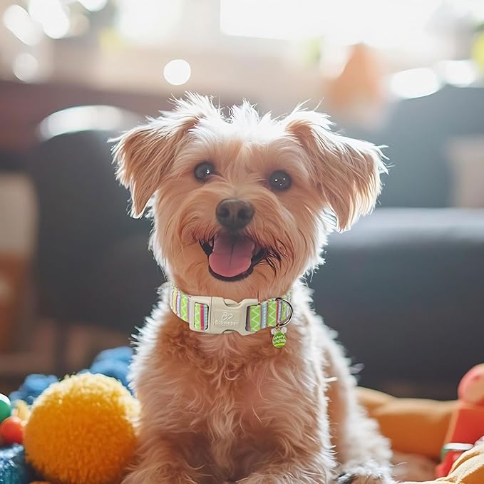 Easter Dog Collar for Large Dogs - Brightly Colored Stripe Easter Collars for Boy Girl Dogs, Adjustable Spring Holiday Pet Collars with Quick Release Buckle L