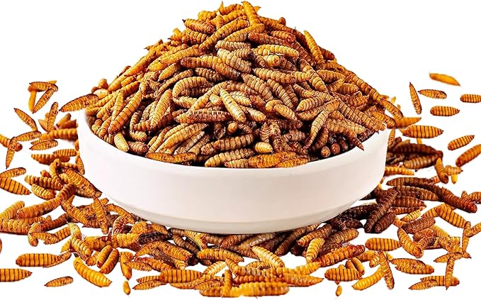 600g Dried Black Soldier Fly Larvae Treat for Chicken, 100% Natural Non-GMO More Calcium Than Dried Mealworms High Protein Chicken Feed for Birds, Ducks, Layer Hens