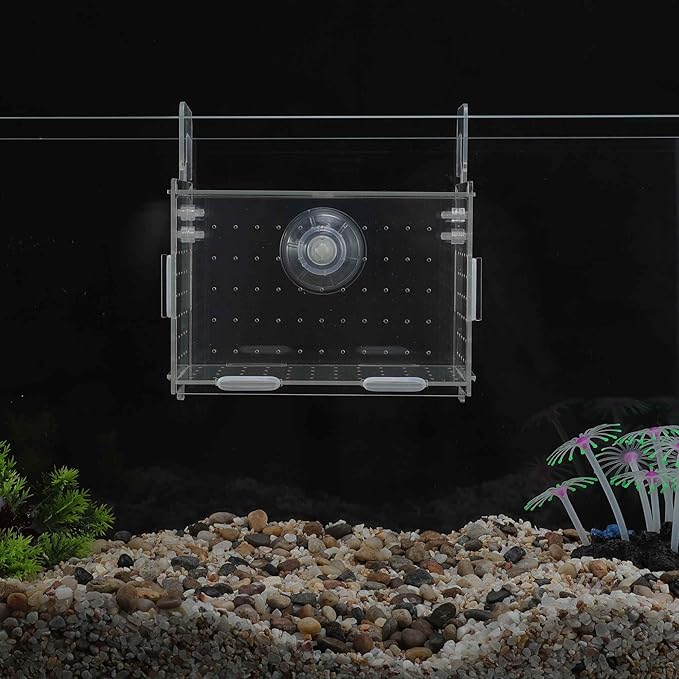 Fish Breeder Box for Fish Tank, Acrylic Fish Tank Divider, Easy to Install, 5.91"x3.94"x3.94", Clear, 1 Set