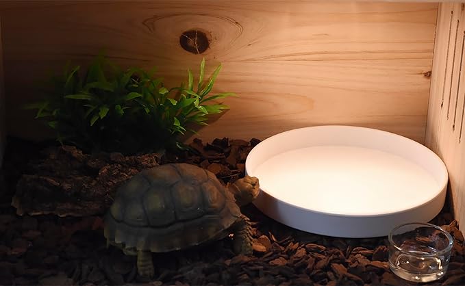Reptile Food Bowl OMEM Water Dish,Feeding Dish, Birds Bowl (S, White)