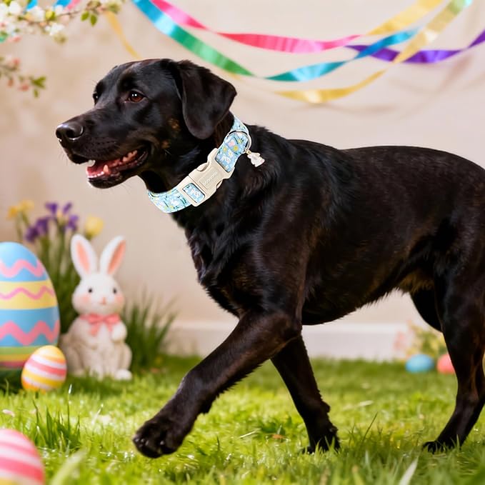 DOGWONG Easter Dog Collar-Cute Easter Rabbit Bunnies Egg Dog Collar, Adjustable Soft Easter Dog Collar for Medium Large Dogs, XL