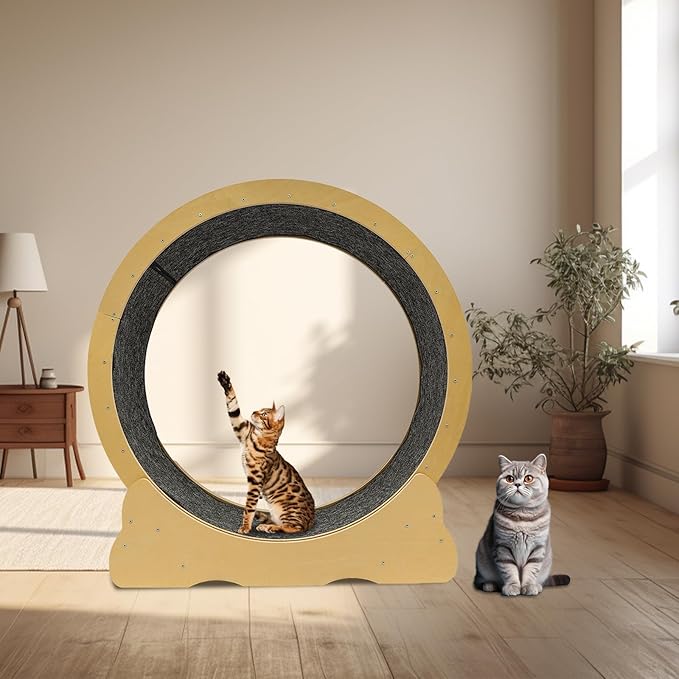 Large Cat Exercise Wheel Cat Running Wheel Treadmill Exerciser with Brake & Carpeted Runway for Most Cats Indoor