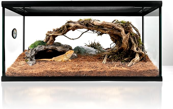 Reptile Glass Tank 20"*12"*10" Pre-Assembled Terrarium for Turtle,Hermit Crab,Bearded Dragon,Gecko,Lizard,Snake,Spider,Fish,Tarantula Enclosure with Top Screen Ventilation and Openning Door