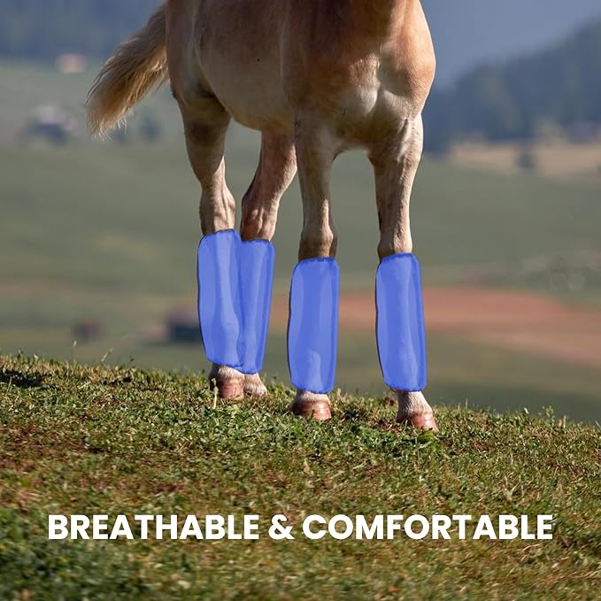 Mesh Fly Boots Horse Fly Boots Mesh Fly Wraps Leg Guard for Horse Set of 4
