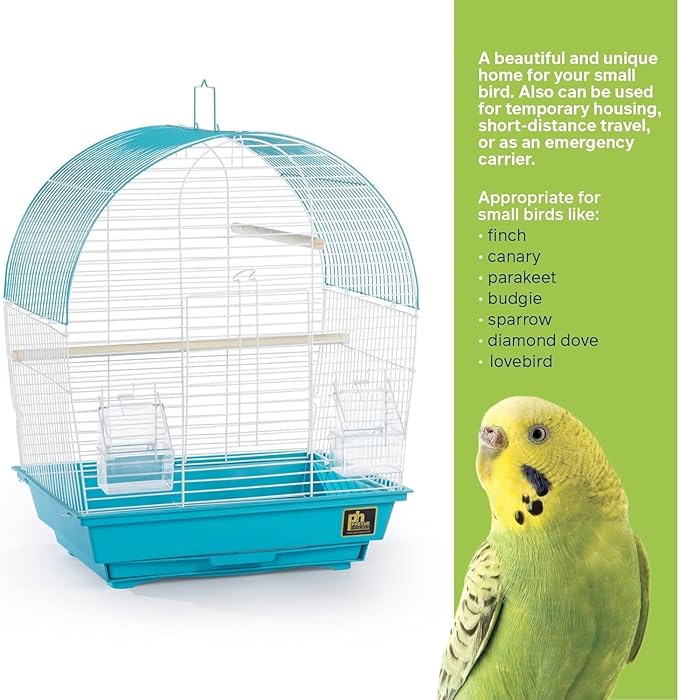 Rustic Retreat Top Bird Cage with Durable Metal Construction, Spacious Interior, and Convenient Top Access Teal/Dome Top