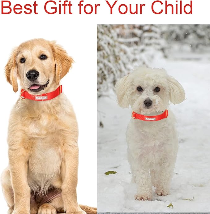 Nylon Dog Collar - Adjustable Red Soft Webbing Dog Collars for Small Medium Large Dogs Boy Girl Puppy Collar with Safety Metal Buckle XL
