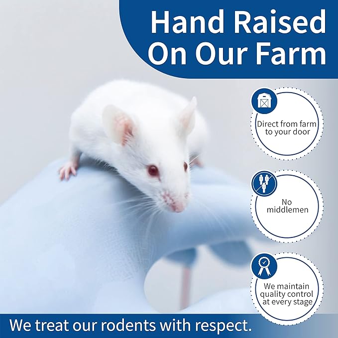 MiceDirect EST. 2003 50 Frozen Rat Combo Pack 25 Rat Pinkies and 25 Rat Fuzzies Feeders Snake Food (.5-2.5 in)(300 Grams Min)