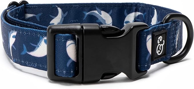 Lucy & Co. Shark Attack Adjustable Dog Collar- Cute Designer Pet Collar for Small, Medium, Large Dogs- Buckle Closure Dog Accessories, Medium, Navy & White Shark