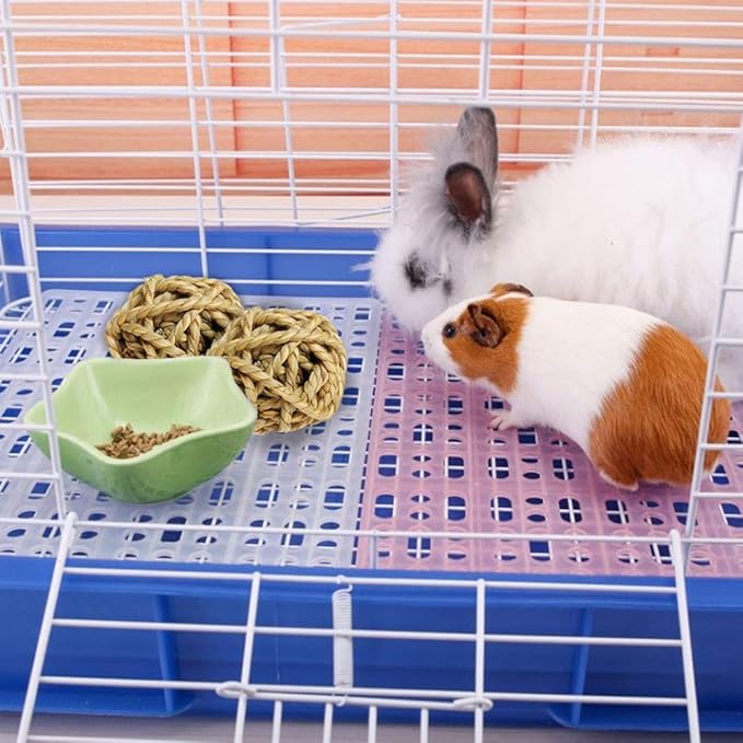 Hamiledyi 10PCS Rabbit Grass Balls 2.8in Large Guinea Pig Balls Small Animal Activity Enrichment Toy for Bunny Chinchilla Hamster Gerbil Grinding Playing