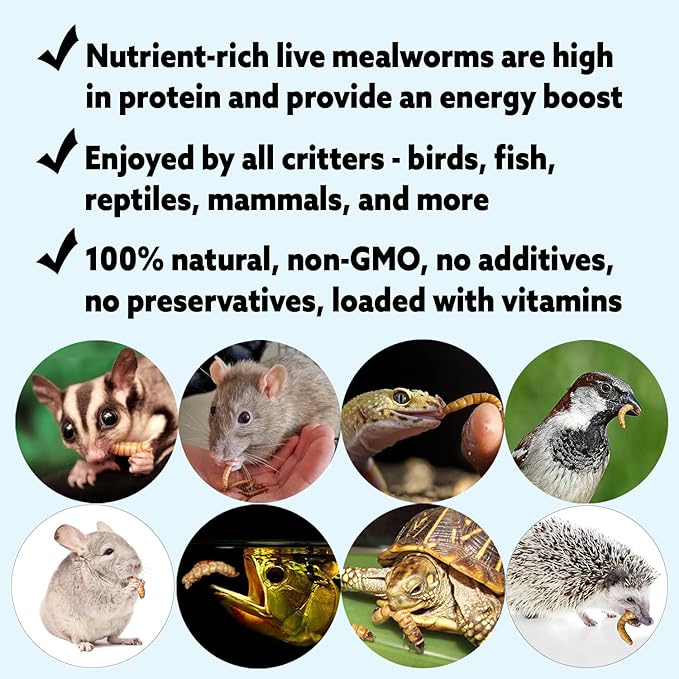 Exotic Nutrition Medium Live Mealworms (1/2") (3,000 Pack)