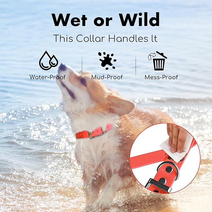 4.2FT Dog Collar and Leash Set, PVC Waterproof Adjustable Odor Proof Pet Collars Leashes, Easy to Clean, Surface 3D Cube Effect, Dog Leash for Small Dogs, Orange