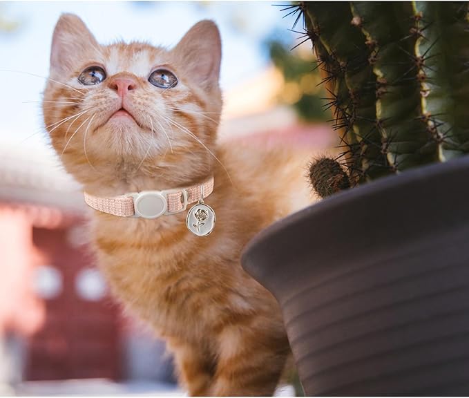 Yizepet Cat Collars, Breakaway Kitten Collar, Cute Kitty Collar, Pet Supplies Accessories