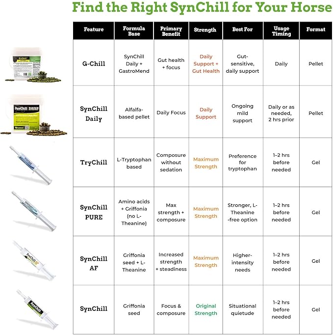 TryChill™ 3 Pack – L-Tryptophan-Based Support for Horses – Promotes a Composed Demeanor Without Sedation – Enhances Focus, Confidence & Performance – 100% Natural & Competition Safe