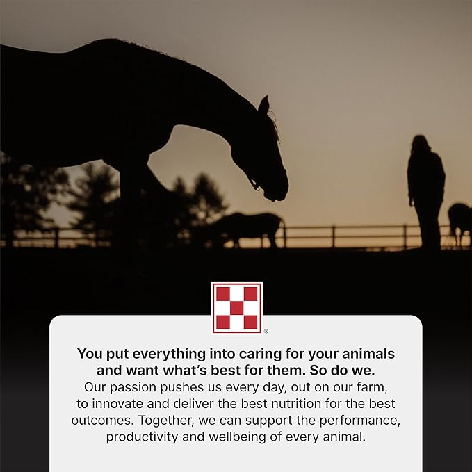 Purina | RepleniMash™ Product | for Horse Recovery | 25 Pound (25 LB)