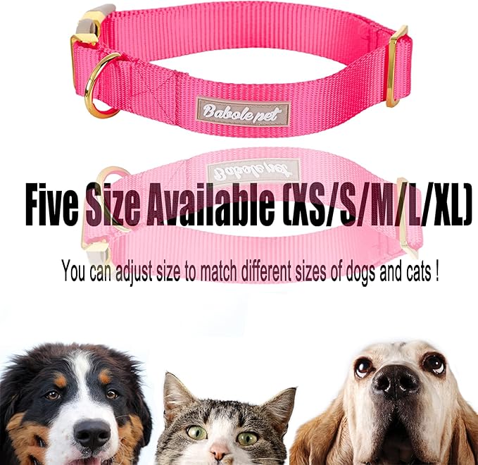 Nylon Dog Collar - Adjustable Rose Red Soft Webbing Dog Collars for Small Medium Large Dogs Boy Girl Puppy Collar with Safety Metal Buckle L