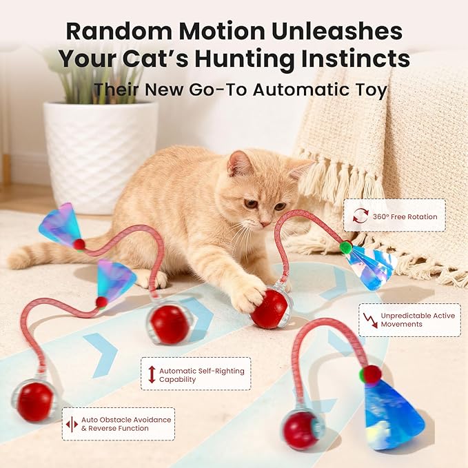 Rocfish Interactive Cat Toy for Indoor Cat, Smart Automatic Cat Chase Ball Toy (Red-N)