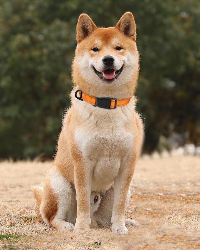 TagME Reflective Nylon Dog Collars, Adjustable Classic Pet Collar with Quick Release Buckle for Medium Dogs, Orange, 1.0" Width