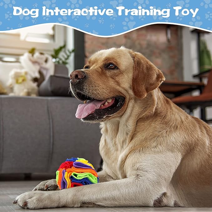 Droutti 3 Pcs Snuffle Ball for Dogs Stress Relief Interactive Dog Snuffle Ball Toys Dog Foraging Mat Pet Snuffles Balls Toy Dogs Treat Ball Pad Pet Puzzle Toys for Anxiety Relief Enhance Sniffing