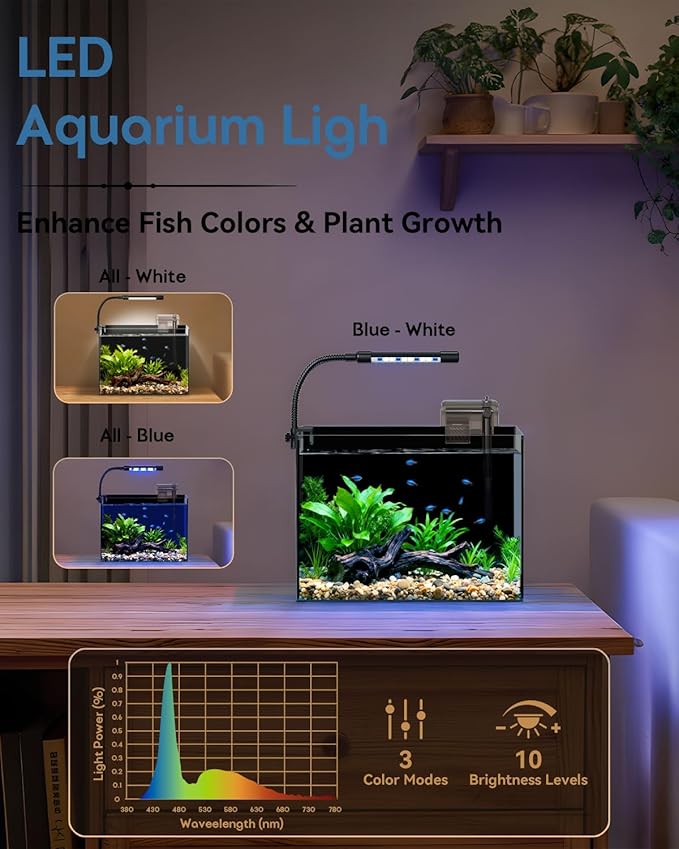 Glass Fish Tank Kit, 0.5 Gallon Betta Fish Tank Aquarium Starter Kit with Filter, Lights, Lid, for Betta, Goldfish, Small Fish or shrimg