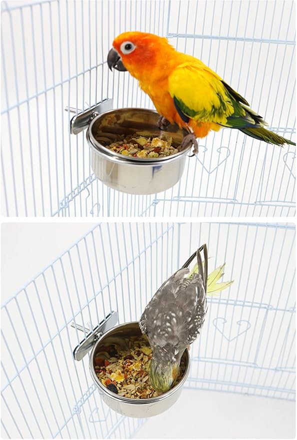 6 pcs Bird Feeding Dish Cups, Parrot Stainless Steel Food Bowl Cage Water Feeder with Clamp Holder for Parrots Cockatiel Budgies Lovebird Parakeet Feeding Cups with 6 Spoon