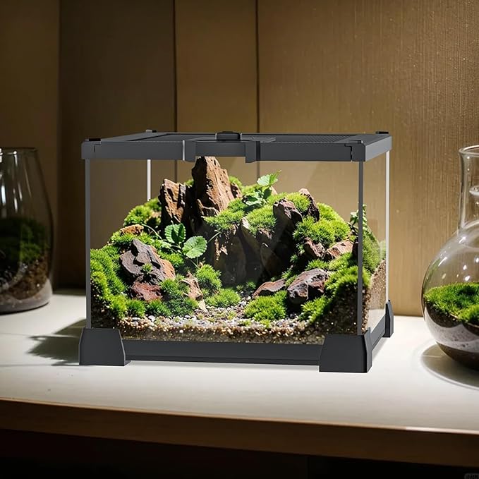 Mini Glass Terrarium Tank 8"x8"x6" with Top-Opening Mesh Lid, 360° Clear View, Ventilated Enclosure for Tarantulas, Jumping Spiders, Isopods, Froglets, & Small Reptiles