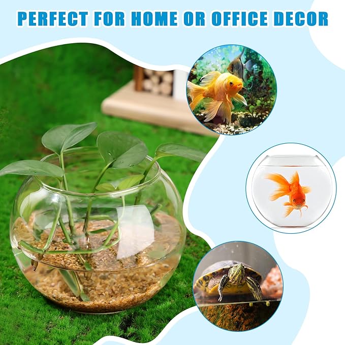 Zopeal 24 Pcs Fish Bowl Vase Glass Bubble Bowl Globe Glass Clear Bubble Vase Round Terrarium Goldfish Flower Centerpiece for Wedding Event Arrangement Office Home (3.5" h X 4.7" w)