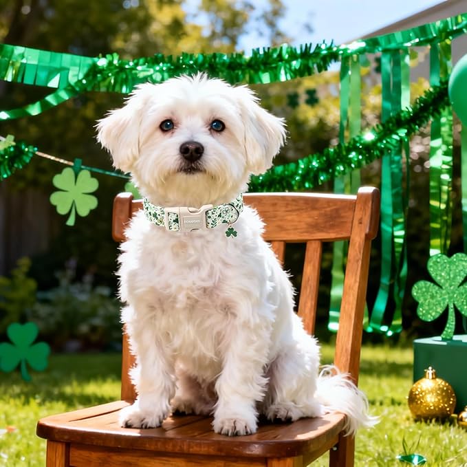 DOGWONG St Patrick's Dog Collar, Green Clover Pet Collar Cotton Holiday Pet Collar Cute Puppy Collar Adjustable Pet Dog Collars for Large Dogs,L