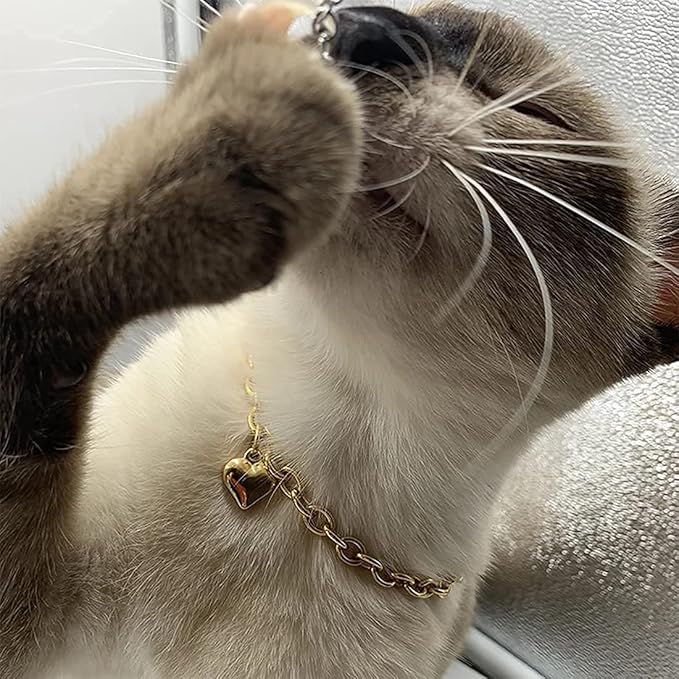 HOWWFALY Dog Collar and Cat Chain Necklace Stainless Steel Adjustable 18K Gold Heart-Shaped Necklace for Small Pets Cats Kitten Puppy (Gold, 10 inch)