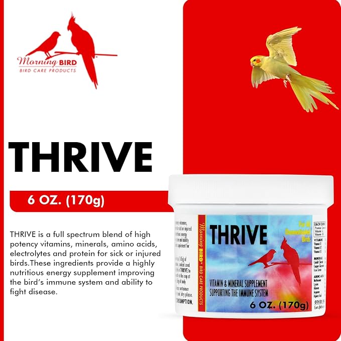 Morning Bird Thrive 6 Oz - Multi-Vitamin Bird Supplement Designed for Immune and Recovery Support - Formulated for Sick or Injured Birds - Protein Supplement and Energy Booster for All Adult Birds
