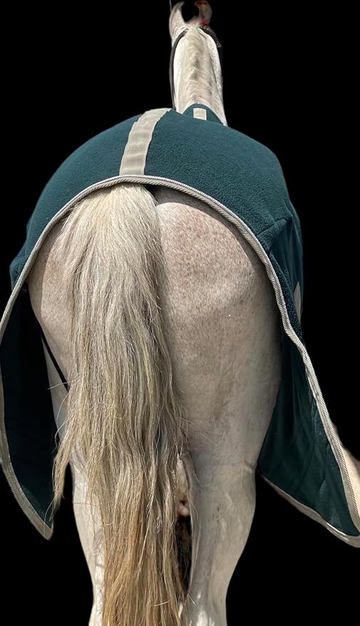Majestic Ally Anti Pill Fleece Horse Blanket/Sheet with Silver Braided Rope (Hunter Green, 70)