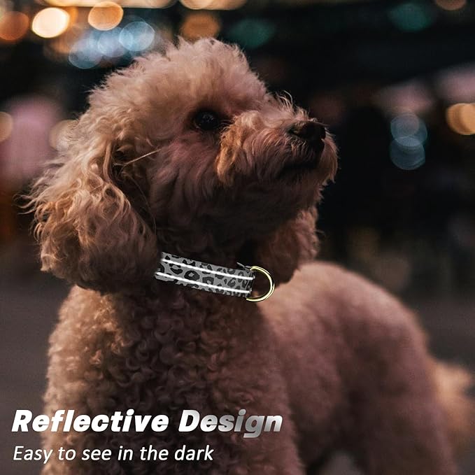Reflective Dog Collar for Medium Dogs, Cute Leopard Style Adjustable Heavy-Duty Nylon Puppy Collar for Boy and Girl Female, Soft Pet Accessories with Quick Release Buckle, Gray