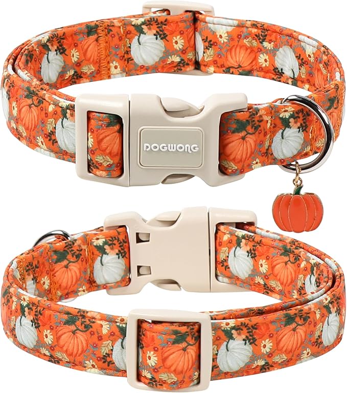 DOGWONG Fall Pumpkin Dog Collar- Cute Daisy Pumpkin Dog Collars Adjustable Orange Halloween Thanksgiving Dog Collar for Small Medium Large Dogs M