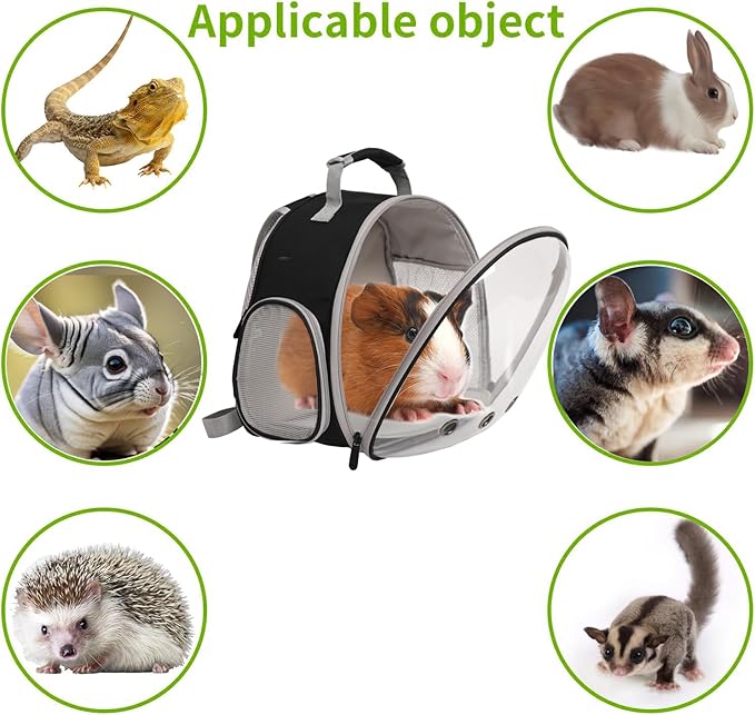 Bearded Dragon Backpack Carrier,Reptile Portable Backpack Carrier,Space Capsule Clear Bubble Window Travel Backpack for Lizard Travel,Guinea Pig,Rabbit(Blue, Backpack)