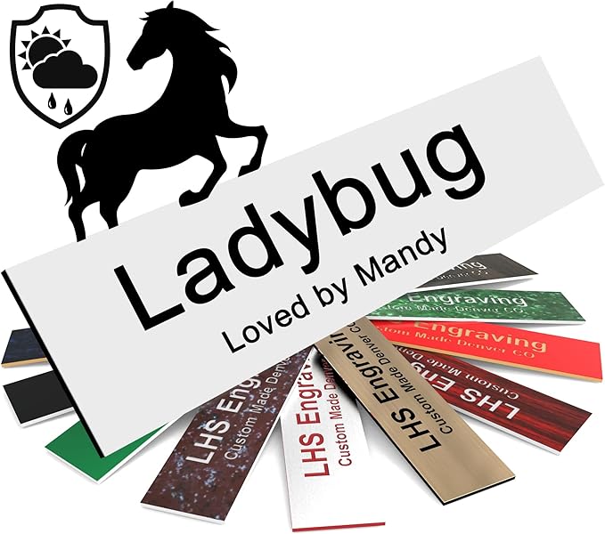 Personalized Horse Stall Name Plates, 2x12 Horse Stall Signs with Adhesive, All Weather UV Protected, White Plastic Black Letters - Made in USA - B16