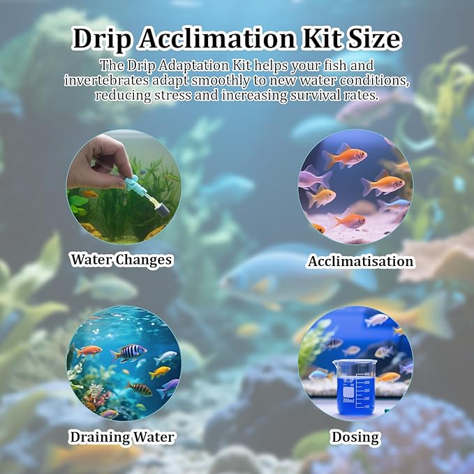 Drip Acclimation Kit with Foldable Fish Acclimation Box, Hose System for Safe Fish/Shrimp Water Transition, Works with Saltwater & Freshwater Tank Setups, Shrimp & Betta Fishes Breeding Box