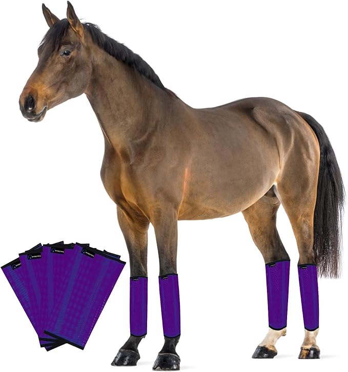 FOXLVDA Horse Fly Boots - Fly Boots for Horses Set of 4, Comfortable Horse Leggings, Mesh Material Design with Metal Support Bars for Reduces Stomping & Leg Fatigue (Purple, Medium)
