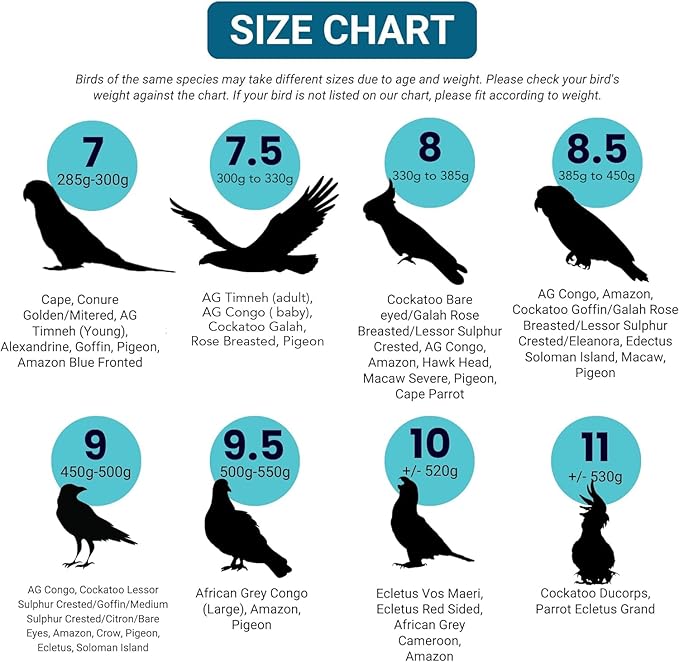 Bev's Bird Boutique Regular Flyper Adjustable Bird Diaper | Reusable, Washable Cloth | Comfort Fit for Parrot, Cockatiels, & Other Small Birds | Fashionable Avian Accessories, Regal, Size 9.5