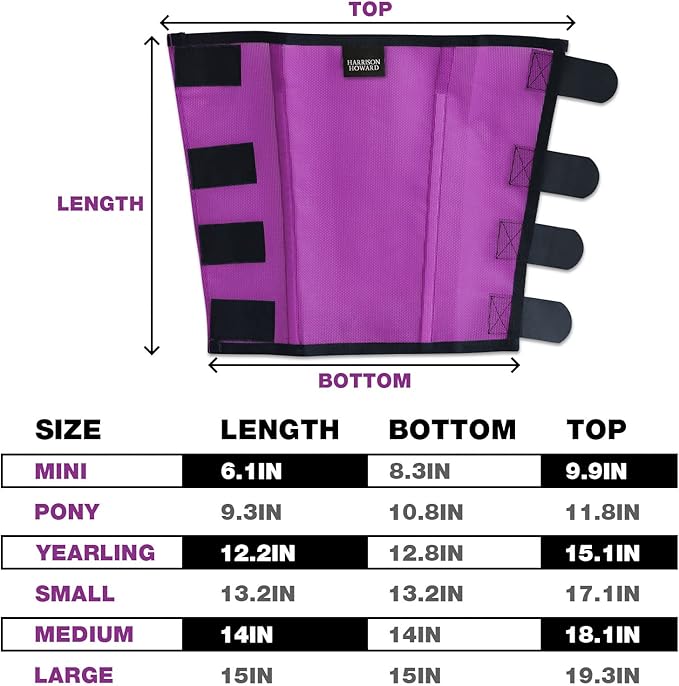 Harrison Howard Loose Fitting Fly Boots UV-Protective Extra Tough Mesh Ventilated Four Fasteners Stay-on Design Protect Horse Legs & Stomp-Reducing Set of 4 Purple Medium