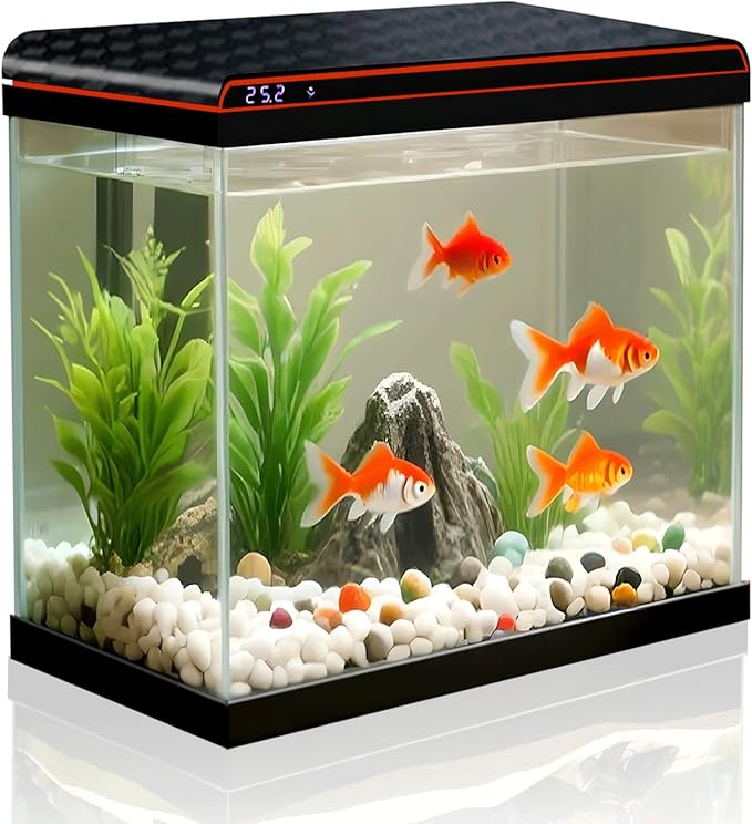 5 Gallon Fish Tank, Glass Aquarium Starter Kits