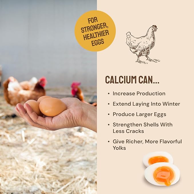 Hatortempt Non-GMO Chicken Feed - 10 lb, Pack of 1 - High Protein Formula - Mealworms for Chickens - Egg Shell Strength - Calcium Grit - Layer Nutrition & Layer Feed