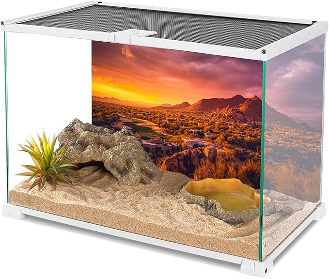 AWERT 48x18 inches Sun and Desert Terrarium Background Mountain Oasis Gobi Reptile Habitat Background Vinyl