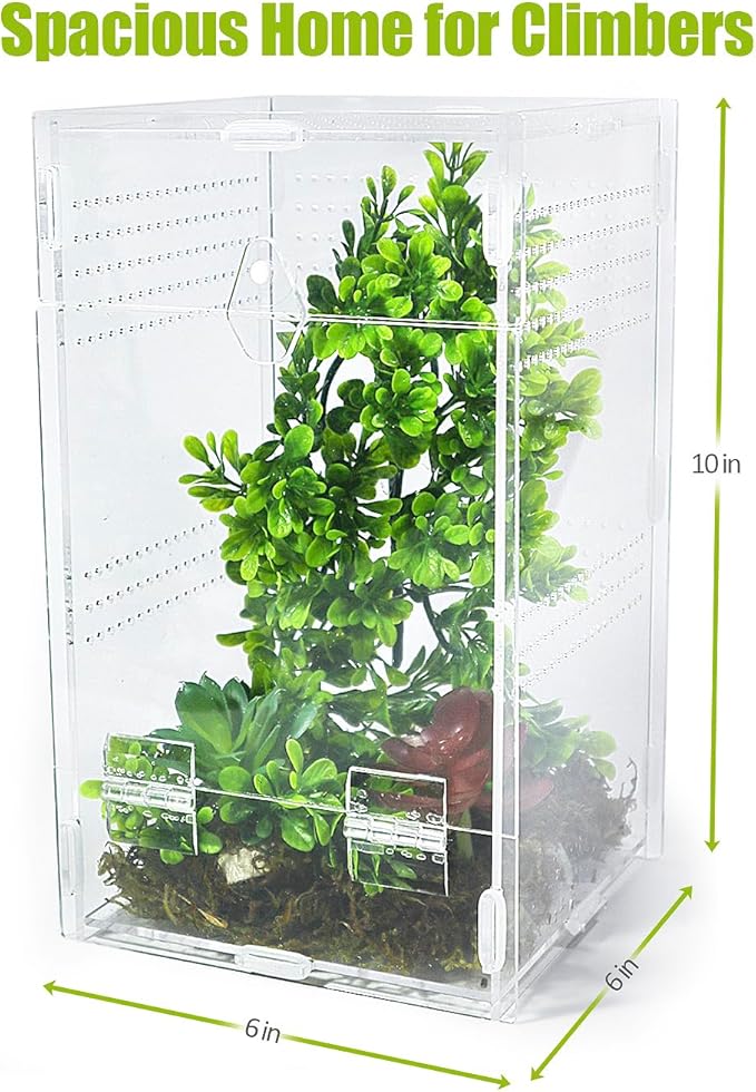 Jumping Spider Enclosure 6”x6”x10”, Transparent Arboreal Tarantula Habitat, Praying Mantis Terrarium Critter Cage for Jumping Spider, Tarantula, Mantis, Snail, Isopods, Beetles, Millipedes