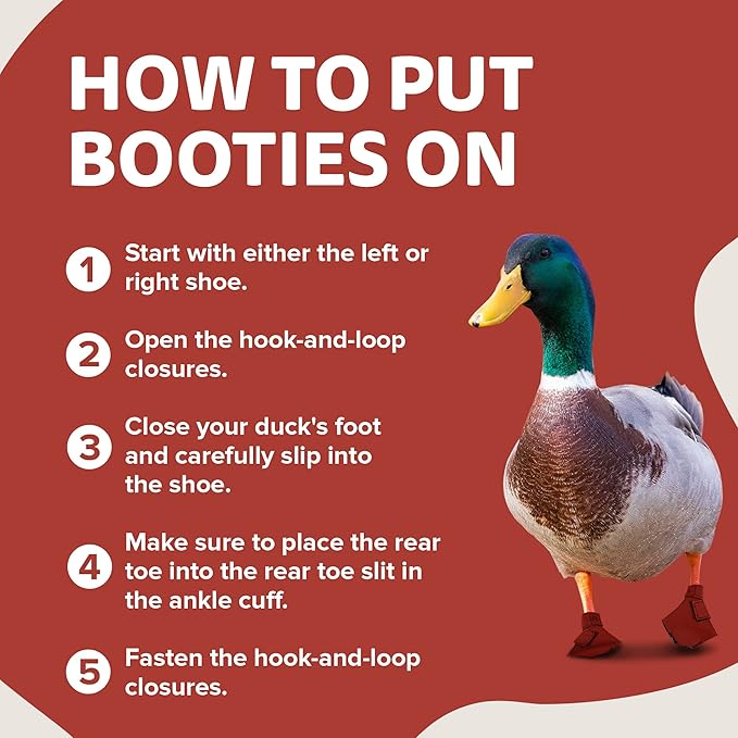 Duck Shoes for Injured Feet – Protective Neoprene Footwear for Ducks, Protective Shoes for Birds with Injured feet, Bumblefoot Relief - Small, 2.5’’ Max. Inside Width - Red