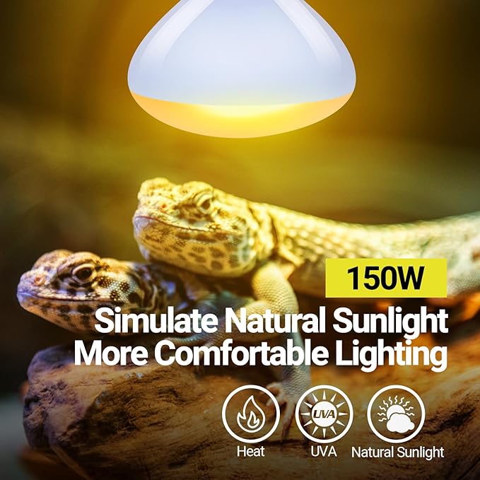 REPTI ZOO Reptile Heat Lamp Bulb 150W,2 Pack Neodymium Basking Spot Light, UVA Daylight Heating Lamp for Amphibian & Chicken Brooder | Simulated Natural Sunlight for Bearded Dragon,Lizard,Tortoise